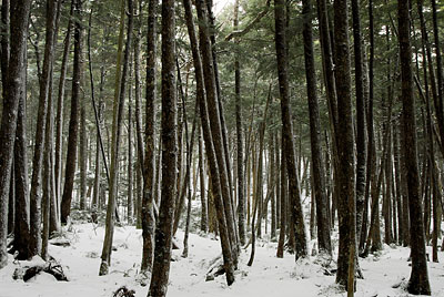 0426-1.jpg