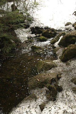 0512-2.JPG