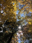 image1.jpeg